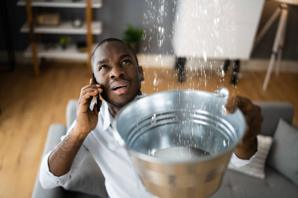 Best Carpet water damage restoration  in Alafaya, FL