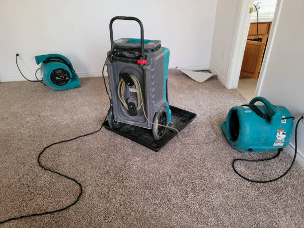 Best 24-hour water damage restoration  in Alafaya, FL