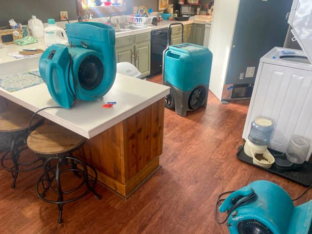 Best 24-hour water damage restoration  in Alafaya, FL