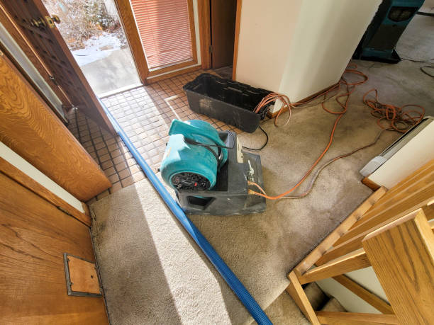 Best Sewage cleanup and water damage restoration  in Alafaya, FL