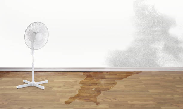 Fire Damage Restoration in FL