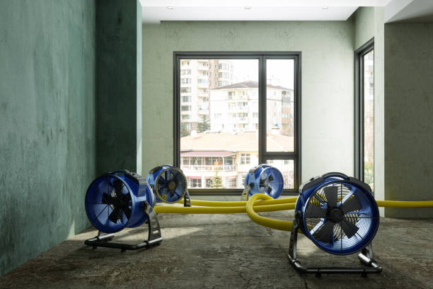 Best Professional water damage repair  in Alafaya, FL