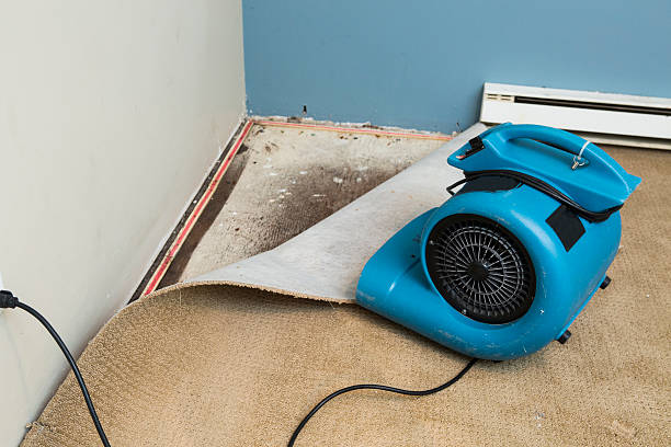 Best Water damage restoration process  in Alafaya, FL